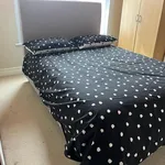 Rent 1 bedroom student apartment in Gillingham