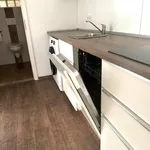 Pronajměte si 3 ložnic/e byt o rozloze 63 m² v Prague