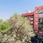 Rent 4 bedroom apartment in Madrid