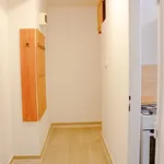 Rent 1 bedroom apartment in Blansko