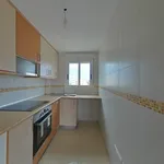 Alquilo 2 dormitorio apartamento de 65 m² en Alicante/Alacant