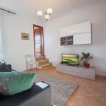 Rent 2 bedroom apartment of 50 m² in Florence