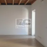 Rent 3 bedroom apartment of 100 m² in Monza