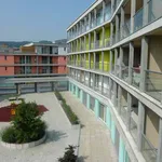 Rent 5 bedroom apartment of 136 m² in Dietikon