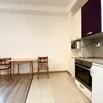 Rent 1 bedroom apartment of 33 m² in Praha