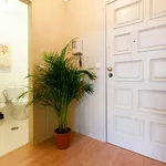 Rent 1 bedroom apartment in Porto