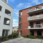  appartement avec 1 chambre(s) en location à Aalst