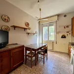 Rent 3 bedroom apartment of 79 m² in Cremona