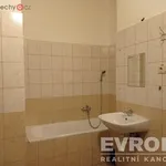 Rent 2 bedroom apartment of 40 m² in Liberec (nečleněné město)