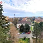 Rent 2 bedroom apartment of 33 m² in Vyškov