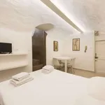 Rent 1 bedroom apartment of 25 m² in florence