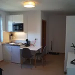 Rent 1 bedroom apartment of 21 m² in Dresden