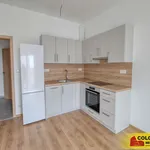 Pronajměte si 2 ložnic/e byt o rozloze 46 m² v Znojmo