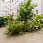 Rent 1 bedroom apartment of 45 m² in Berlin