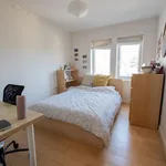 Rent 2 bedroom flat in North East England