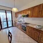 Rent 3 bedroom apartment of 100 m² in Cremona