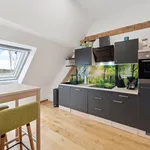 Rent 1 bedroom apartment of 25 m² in München