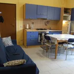 Rent 2 bedroom apartment of 50 m² in Novara