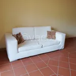 Rent 2 bedroom apartment of 40 m² in Asti