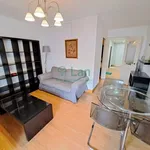 Rent 1 bedroom apartment of 50 m² in Bilbao