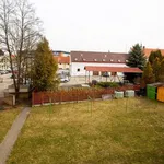 Rent 1 bedroom apartment of 30 m² in Jindřichův Hradec