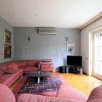 Rent 4 bedroom apartment of 141 m² in Zagreb