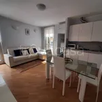 Rent 1 bedroom apartment of 60 m² in Novara