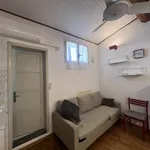 Rent 2 bedroom apartment of 43 m² in Florence