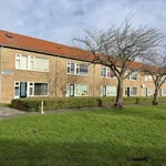 Huur 2 slaapkamer appartement van 64 m² in achthuizen