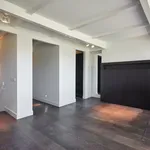 Huur 1 slaapkamer appartement van 115 m² in Amsterdam