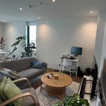 Rent 1 bedroom apartment in Albert-Eden