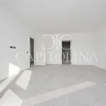 Rent 4 bedroom apartment of 195 m² in Roma