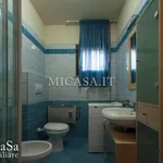 Rent 2 bedroom apartment of 80 m² in pisa