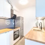 Rent 1 bedroom apartment of 60 m² in Zagreb