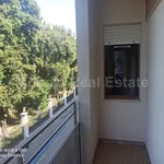 Rent 4 bedroom apartment of 150 m² in Caserta