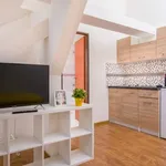 Studio o rozloze 30 m² v prague