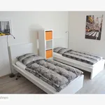 Miete 1 Schlafzimmer haus von 34 m² in Rommerskirchen