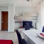 Rent 2 bedroom apartment of 55 m² in Torino