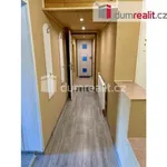 Rent 3 bedroom apartment of 74 m² in Jáchymov