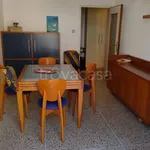 Rent 3 bedroom apartment of 80 m² in Bologna