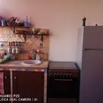 Rent 1 bedroom apartment of 70 m² in Trapani