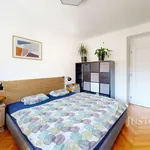 Rent 2 bedroom apartment of 52 m² in České Budějovice