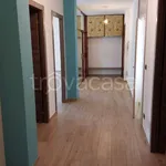 Rent 3 bedroom apartment of 96 m² in Turin