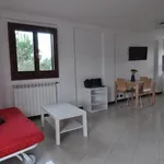 Rent 1 bedroom apartment in Rome