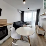 Rent 2 bedroom apartment of 30 m² in Zielona Góra