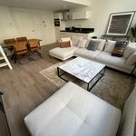 Rent 2 bedroom apartment of 40 m² in Haarlem