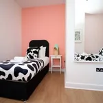 Rent 3 bedroom flat in Wales