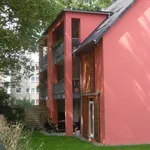 Rent 4 bedroom apartment of 85 m² in Essen