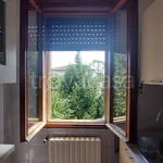 Rent 3 bedroom apartment of 70 m² in Padova