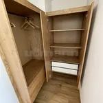 Pronajměte si 2 ložnic/e byt o rozloze 55 m² v Prague